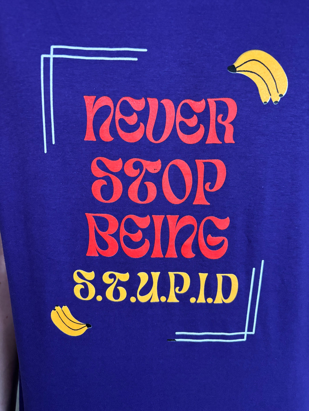 Never Stop Being STUPID